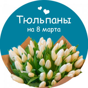 Купить тюльпаны в Новоалтайске